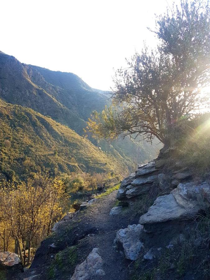 Castano Real Βίλα Atalbeitar Εξωτερικό φωτογραφία