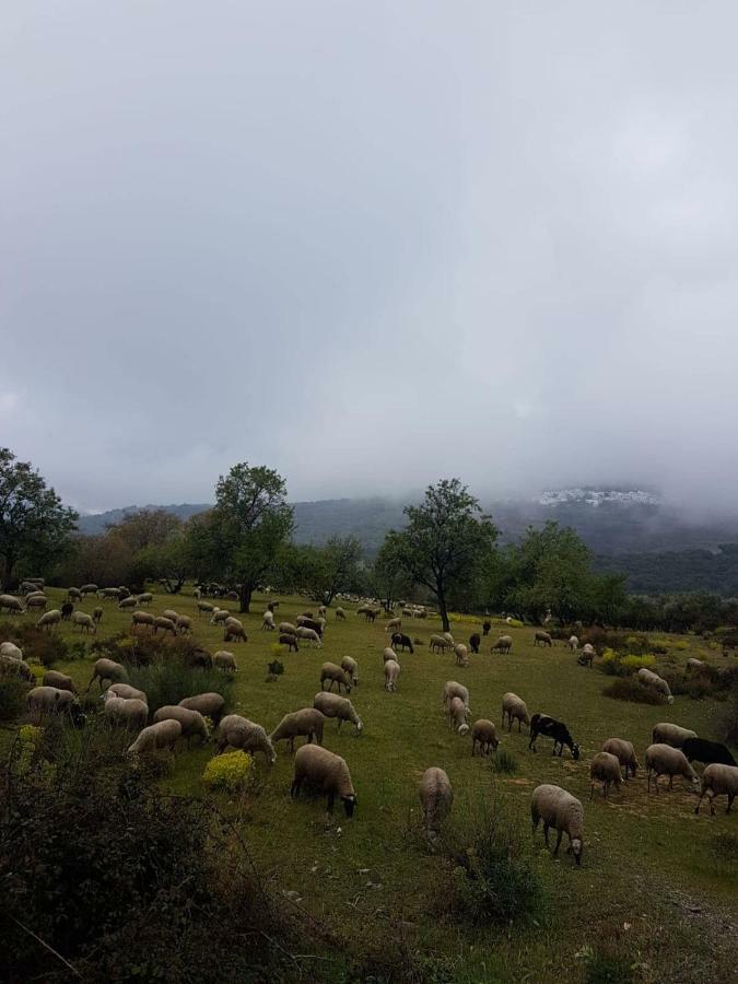 Castano Real Βίλα Atalbeitar Εξωτερικό φωτογραφία